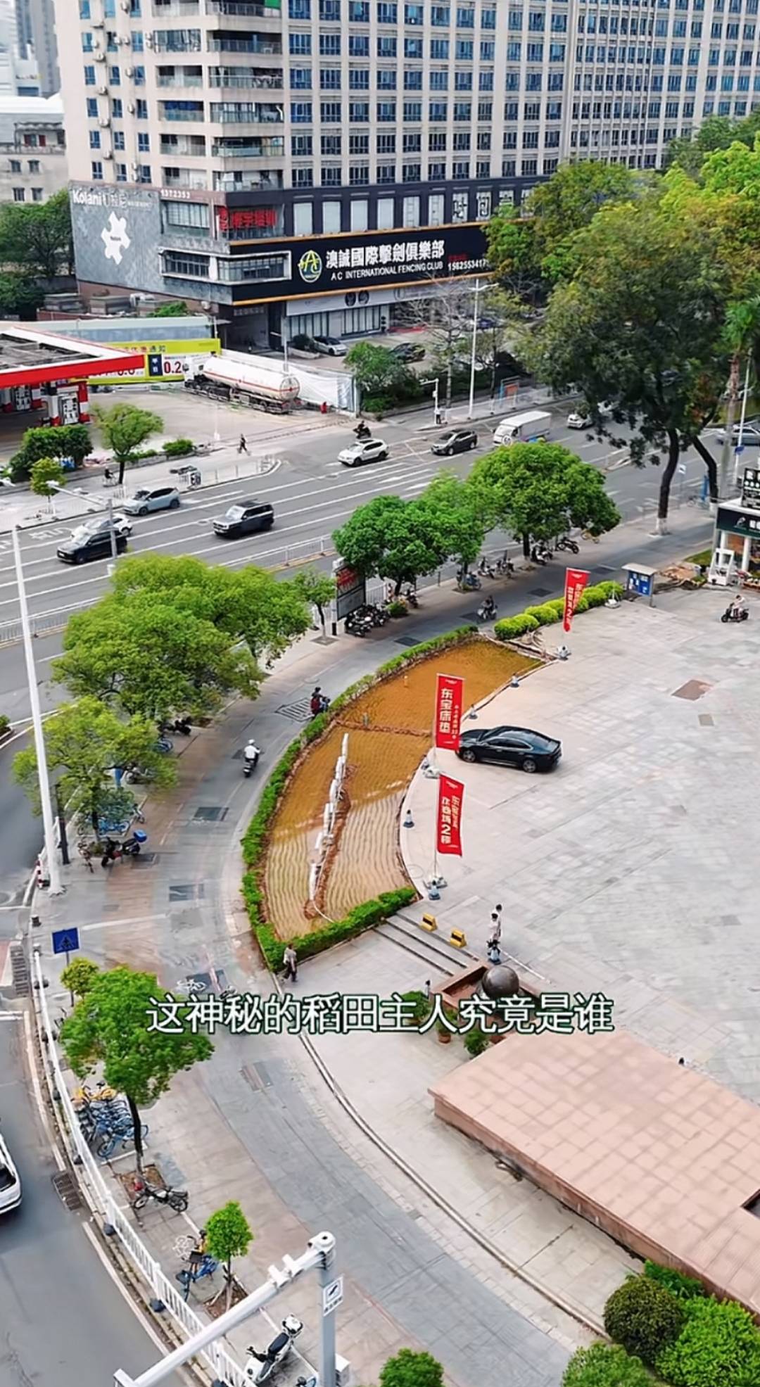 谁种的?东莞闹市区绿化带惊现水稻<strong></p>
<p>币安宝钱包</strong>,网友化身福尔摩斯来探案,家居广场:商户提的建议