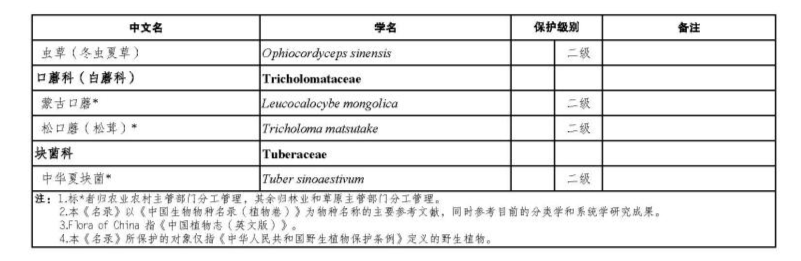 价值18万余元!男子在祁连山非法收购5632根冬虫夏草<strong></p>
<p>币安限价合约</strong>,构成危害国家重点保护植物罪获刑