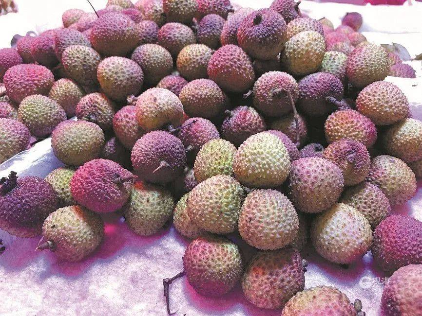 大跳水<strong></p>
<p>币安自选区</strong>,暴跌40%!老板:一天一个价,估计还要跌