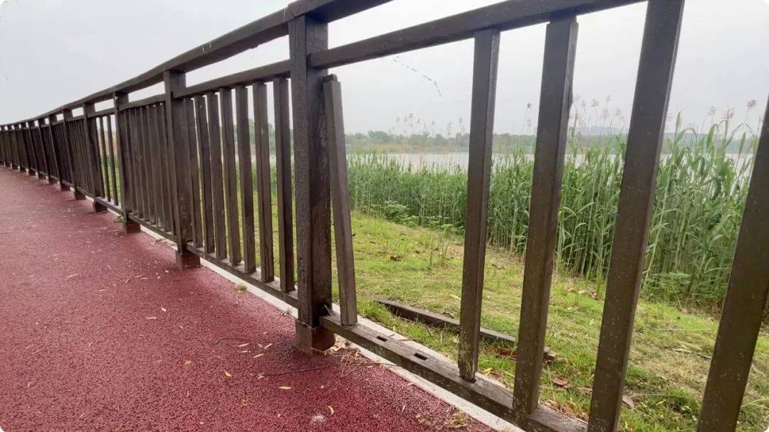 南京市市长陈之常走进直播间<strong></p>
<p>狗币钱包安卓</strong>,现场责令核查燃气二次收费