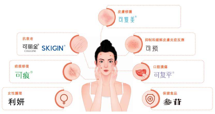 深挖 | “西北大学副校长范代娣成陕西首富”系乌龙<strong></p>
<p>狗币钱包安卓</strong>,但她的人生如同开挂