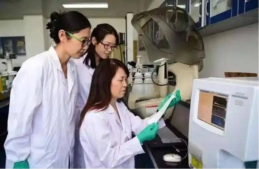 深挖 | “西北大学副校长范代娣成陕西首富”系乌龙<strong></p>
<p>狗币钱包安卓</strong>,但她的人生如同开挂