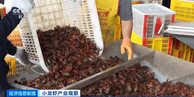 价格暴跌近50%<strong></p>
<p>币安pos</strong>!“接下来还会降”!青岛正大量上市……