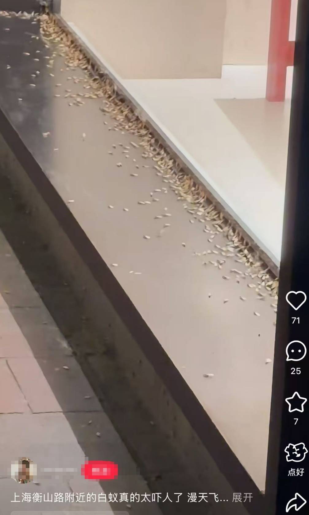 紧急提醒：瞬间爆发！上海市民崩溃：密密麻麻<strong></p>
<p>币安tbc</strong>，蠕蠕爬行...“梧桐区”已开始战斗，白蚁或提前分飞