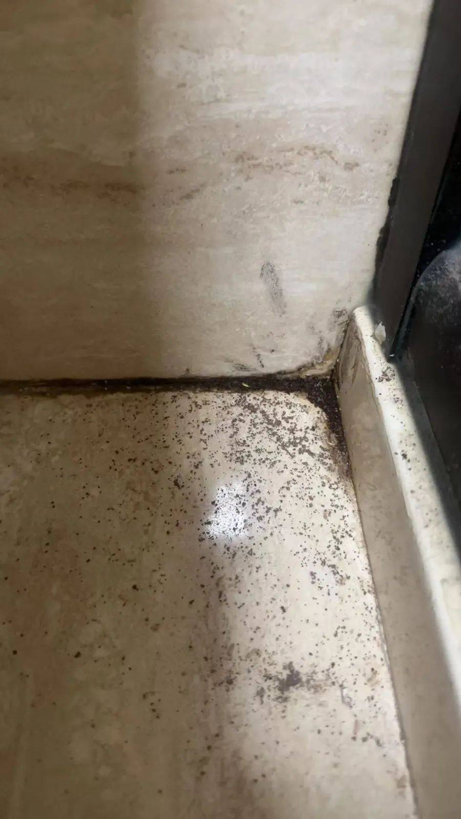 紧急提醒：瞬间爆发！上海市民崩溃：密密麻麻<strong></p>
<p>币安tbc</strong>，蠕蠕爬行...“梧桐区”已开始战斗，白蚁或提前分飞