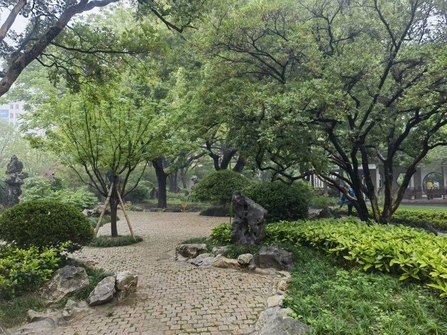 紧急提醒：瞬间爆发！上海市民崩溃：密密麻麻<strong></p>
<p>币安tbc</strong>，蠕蠕爬行...“梧桐区”已开始战斗，白蚁或提前分飞