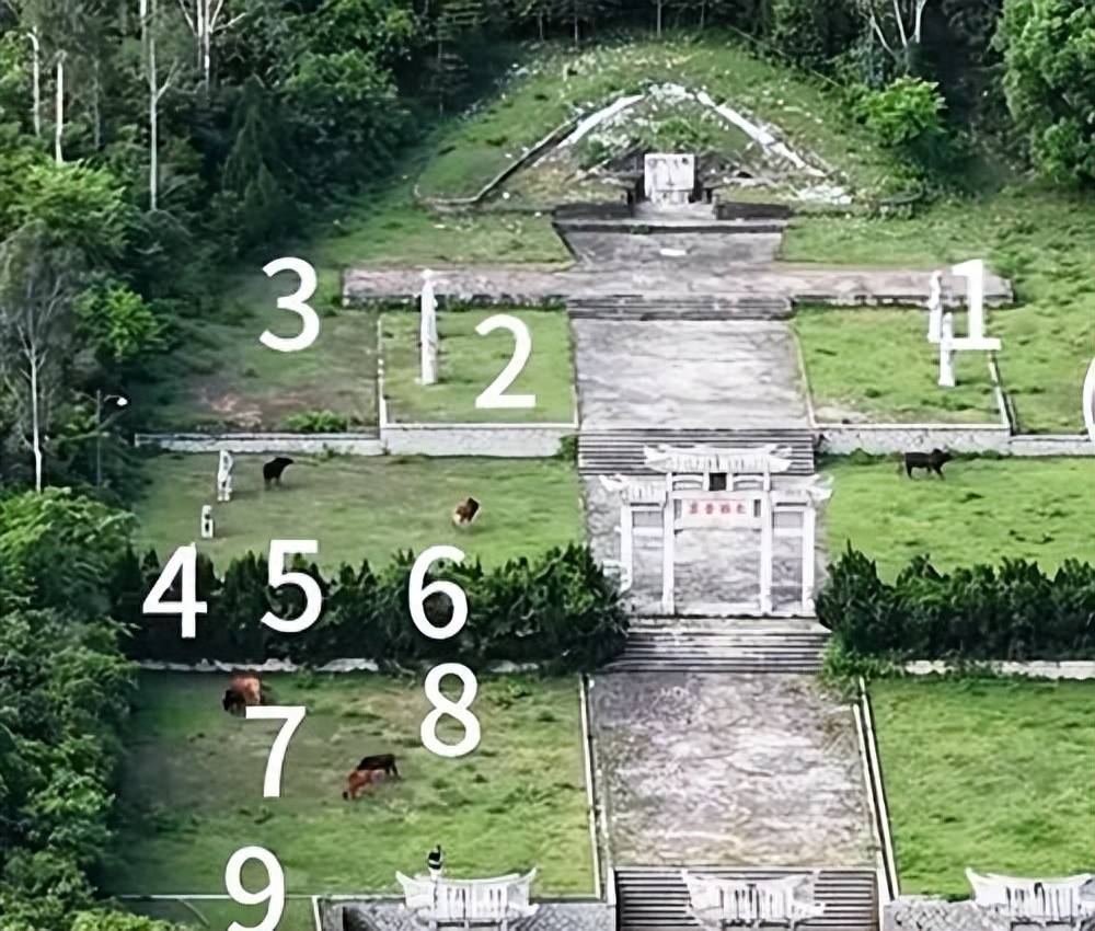 全国重点文保单位施琅墓被曝成“放牛场”？福建惠安官方回应