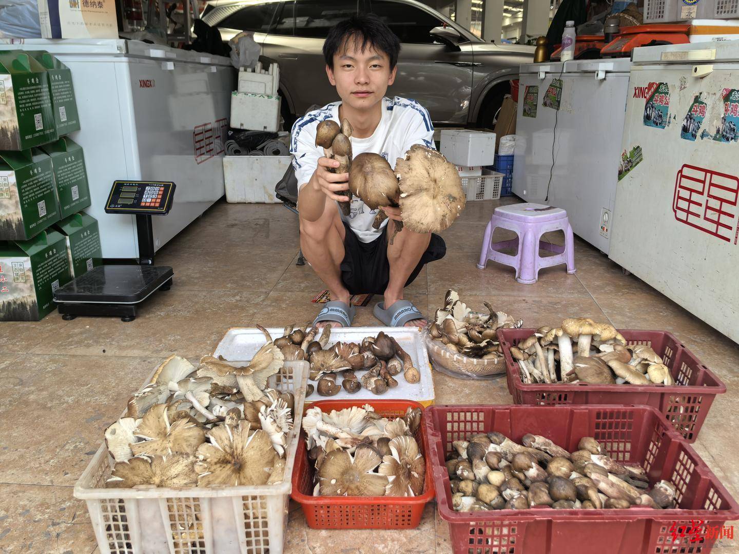 “天价”鸡枞调查:最贵卖到1800元/公斤!雨水少致产量低<strong></p>
<p>币安合约上线</strong>,多地价高客少