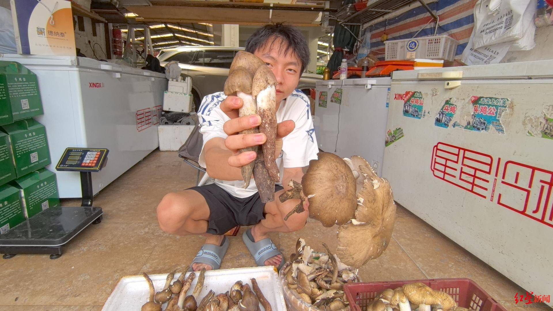 “天价”鸡枞调查:最贵卖到1800元/公斤!雨水少致产量低<strong></p>
<p>币安合约上线</strong>,多地价高客少