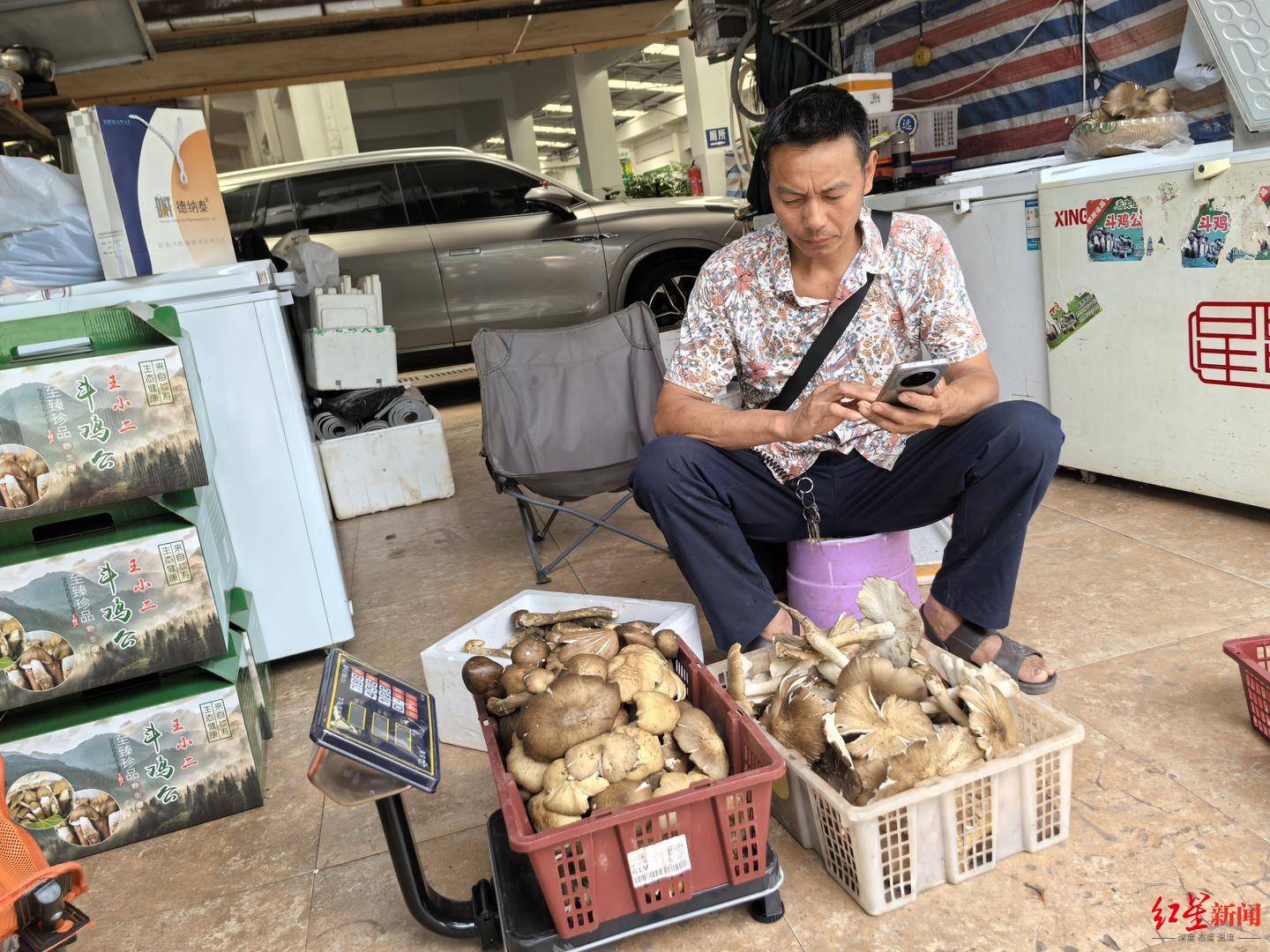 “天价”鸡枞调查:最贵卖到1800元/公斤!雨水少致产量低<strong></p>
<p>币安合约上线</strong>,多地价高客少