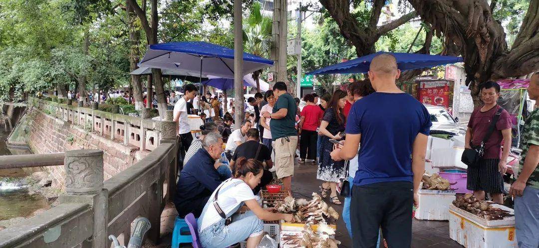 “天价”鸡枞调查:最贵卖到1800元/公斤!雨水少致产量低<strong></p>
<p>币安合约上线</strong>,多地价高客少