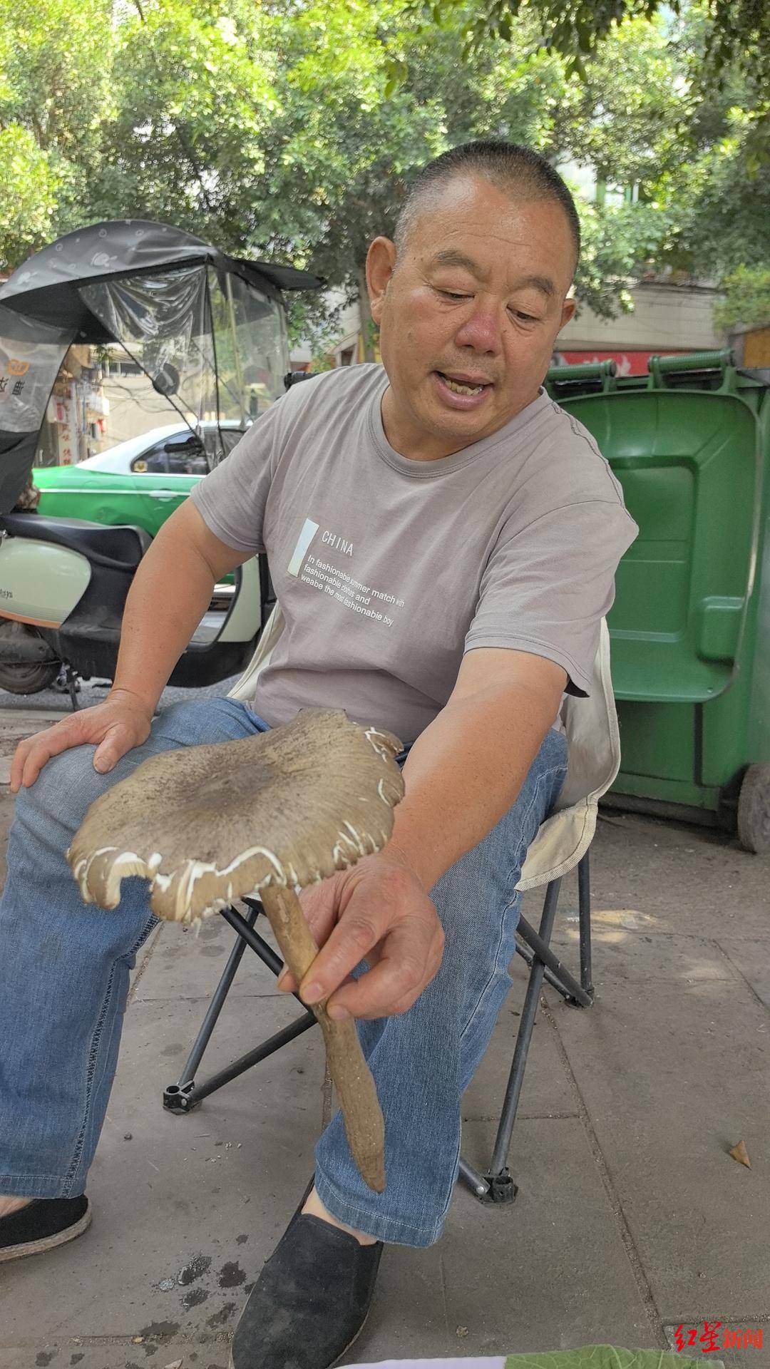 “天价”鸡枞调查:最贵卖到1800元/公斤!雨水少致产量低<strong></p>
<p>币安合约上线</strong>,多地价高客少