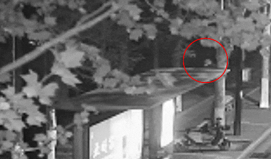 江苏一男子戴仿真“人皮”面具入室盗窃<strong></p>
<p>币安合约上线</strong>,流窜多个小区作案,涉案金额达15万余元