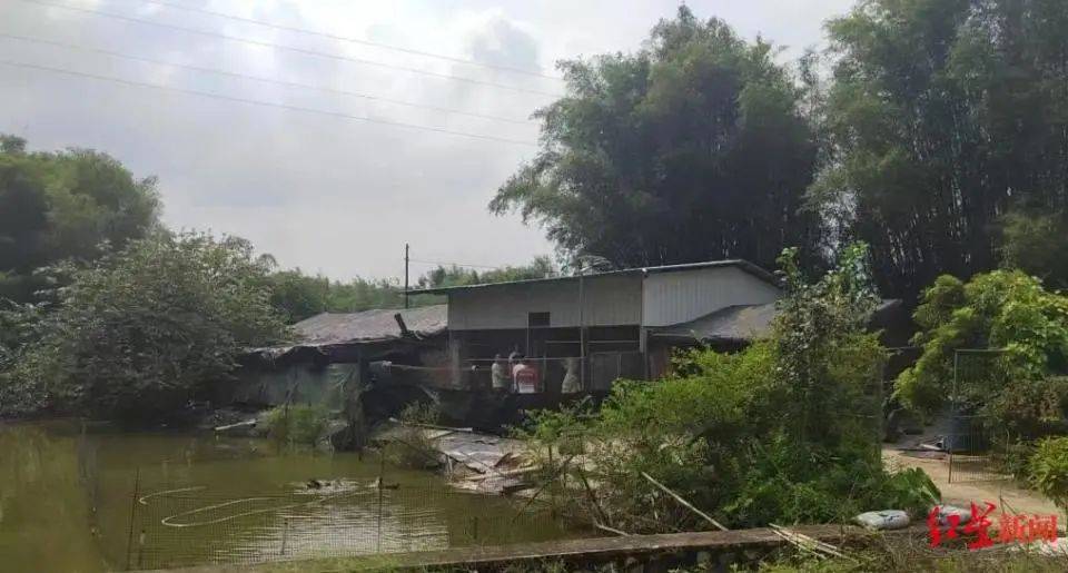 男子杀害母亲和女友后带嫂嫂潜逃32年落网<strong></p>
<p>币安合约上线</strong>，两人育有一儿一女，侦破细节披露