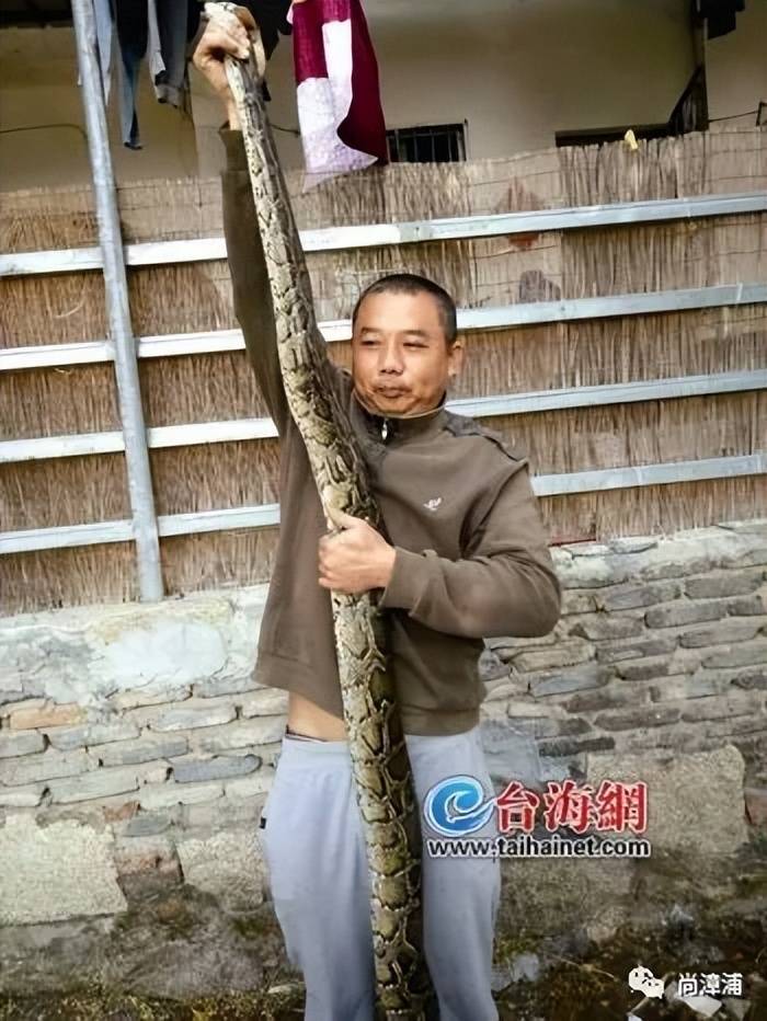 女游客疑被蛇咬伤身亡后<strong></p>
<p>安卓推币游戏</strong>,博主“啊宝”讲毒蛇1天涨粉190万