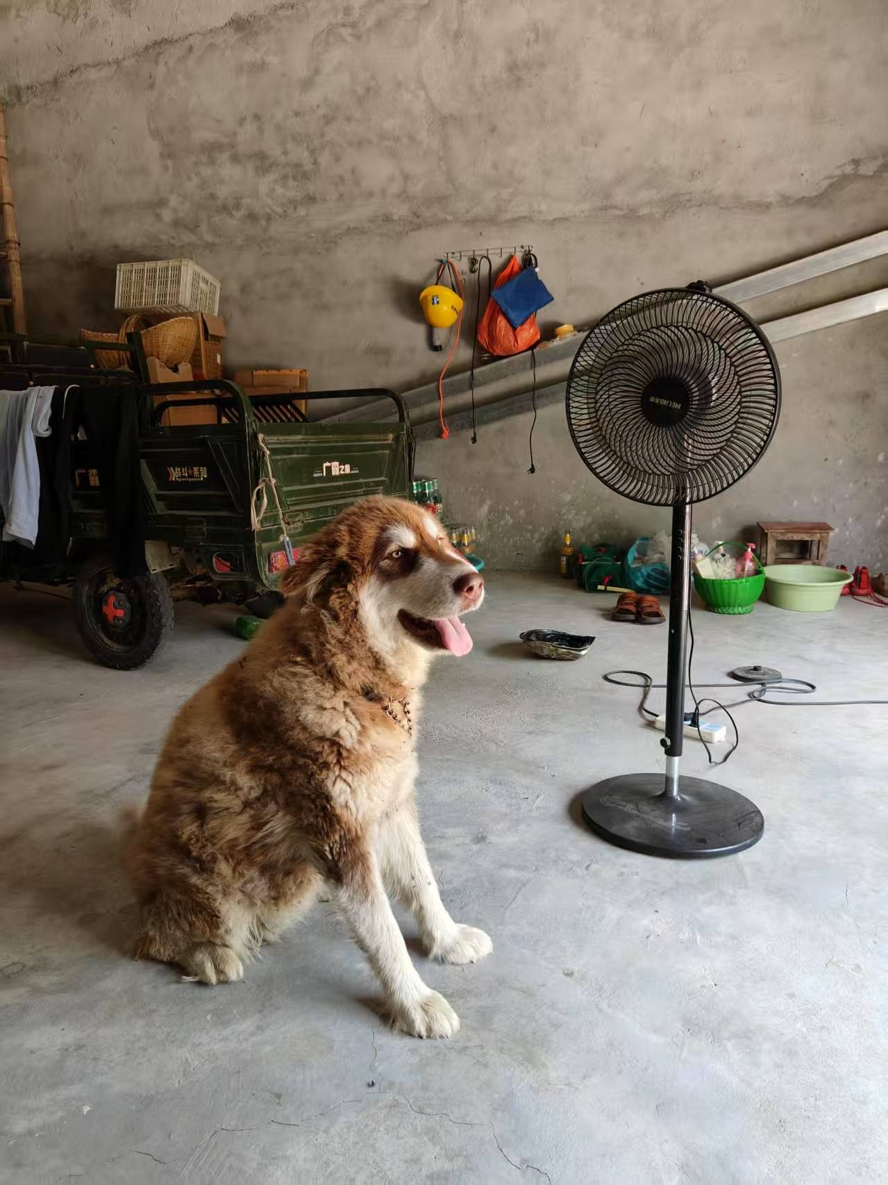 00后女孩醉驾时速174公里撞死3人<strong></p>
<p>币安交易所商家</strong>,逝者母亲:我每天都活在痛苦中