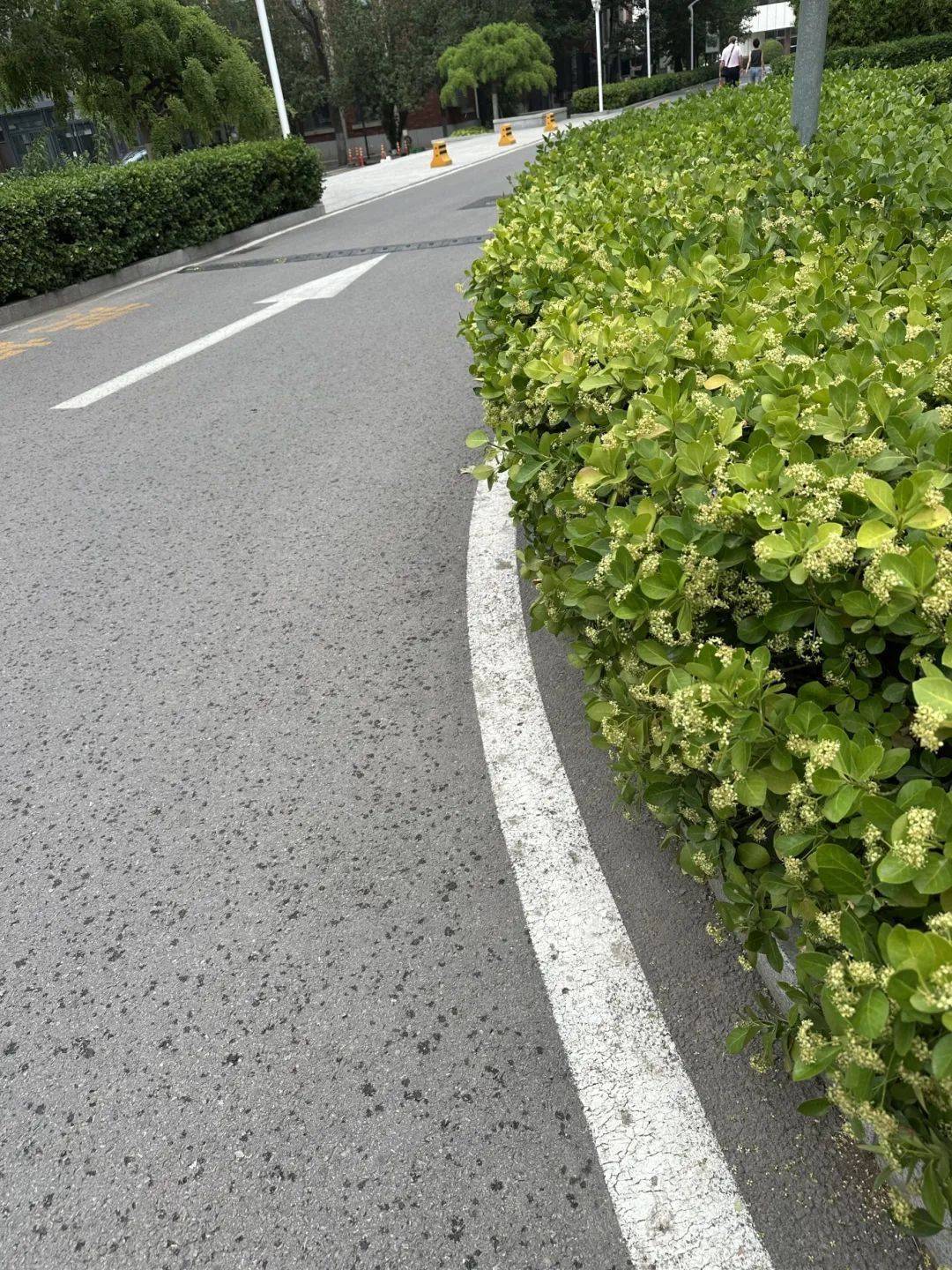 下雨了<strong></p>
<p>币安公链技术</strong>!天津接下来十天都是……