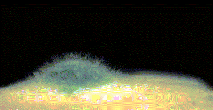 “真的绝望”!最近<strong></p>
<p>币安eth钱包地址</strong>,很多深圳人家中被悄悄入侵!速自查这些地方……