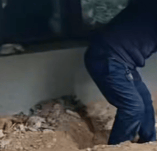 河南长垣女子购买一楼房子在院子里挖出疑似人体骨头，警方介入！物业：多方协调中