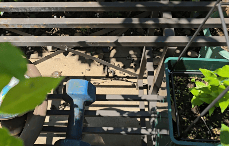 上海一小区居民苦恼新邻居:突然搬来让人提心吊胆<strong></p>
<p>币安虚拟货币</strong>!不能抓不能打