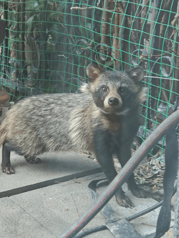 上海一小区居民苦恼新邻居:突然搬来让人提心吊胆<strong></p>
<p>币安虚拟货币</strong>!不能抓不能打