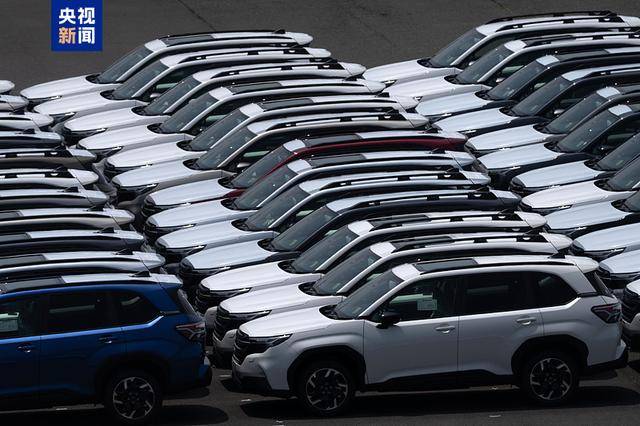 一手对14国加税 一手延长暂缓期 特朗普打的什么小九九