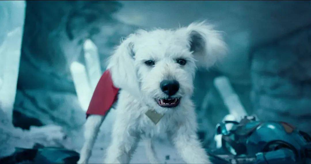 中美票房口碑冰火两重天!北美爆火的新《超人》<strong></p>
<p>币安主站</strong>,为啥内地表现还不如《美队4》?