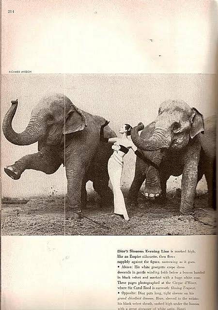 一个日本富二代<strong></p>
<p>币安数字资产交易所</strong>,花7000万买了个二手铂金包,内幕是……