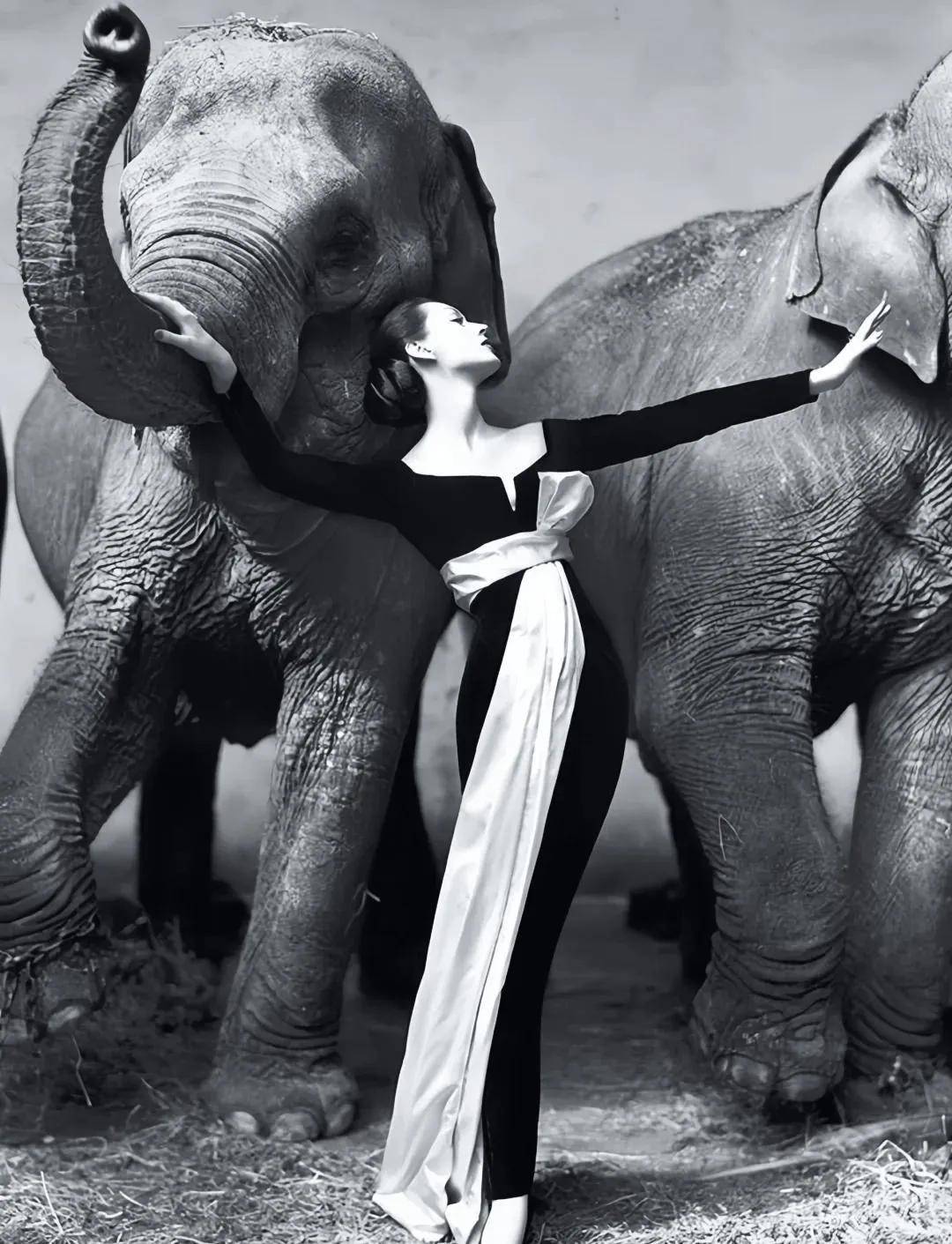 一个日本富二代<strong></p>
<p>币安数字资产交易所</strong>,花7000万买了个二手铂金包,内幕是……