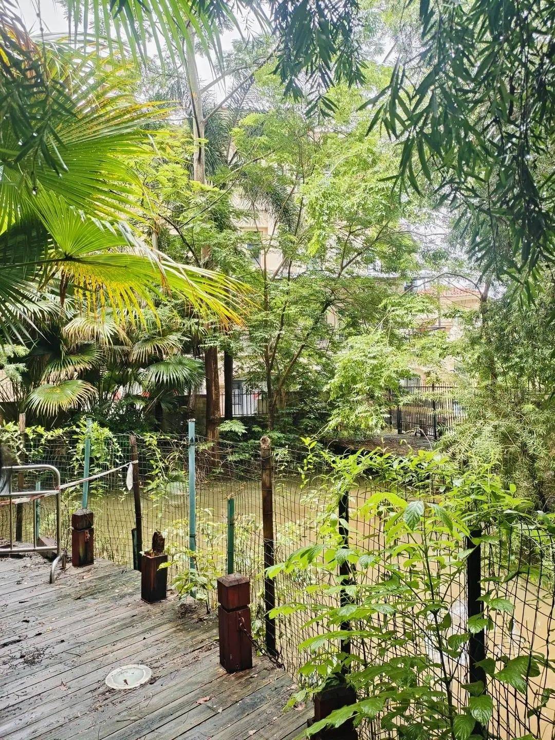 黄杨钿甜父母回应网络争议:“天价耳环”实际100多元<strong></p>
<p>币安永久合约</strong>,别墅不是自家的,只是路过拍照