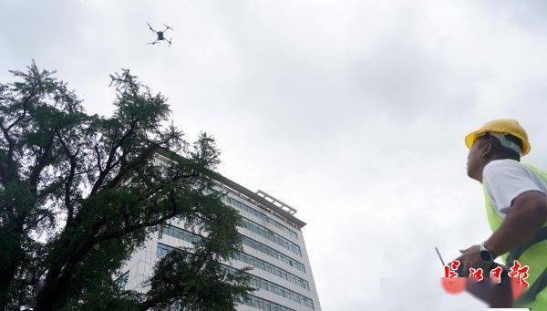 装上“淋浴”每天“冲凉”<strong></p>
<p>安卓币官网注册</strong>，540余岁“汉阳树”被悉心照料