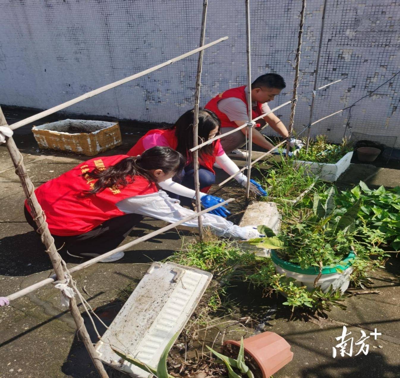 顺德超3300名党员干部下沉一线<strong></p>
<p>安卓币官网注册</strong>，党群联动打响蚊媒防控歼灭战