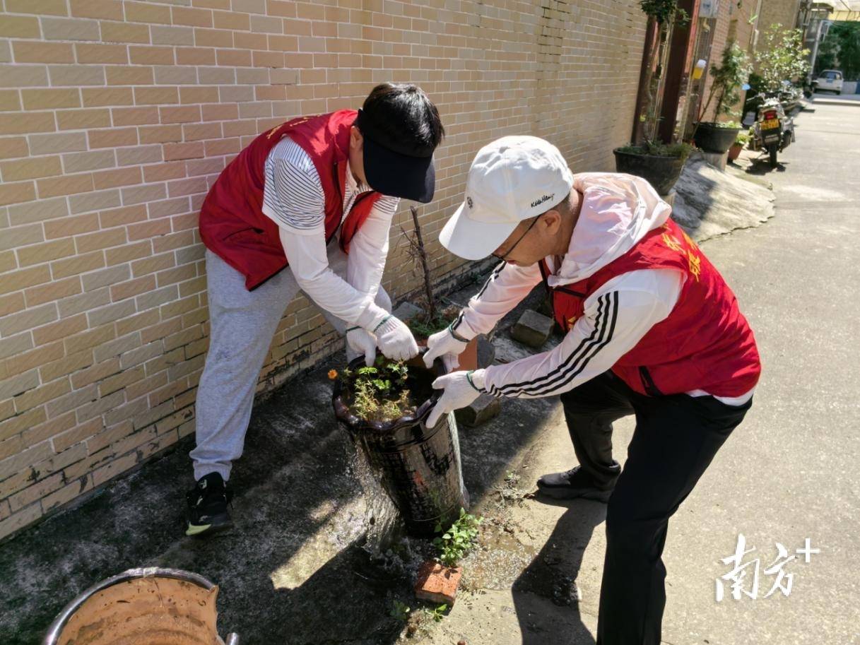 顺德超3300名党员干部下沉一线<strong></p>
<p>安卓币官网注册</strong>，党群联动打响蚊媒防控歼灭战