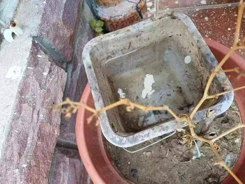 青岛疾控最新提醒:全民行动<strong></p>
<p>币安卖矿机</strong>!翻盆倒罐、清除积水!