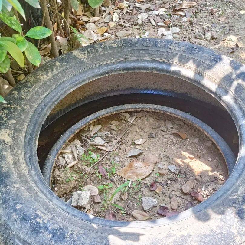 青岛疾控最新提醒:全民行动<strong></p>
<p>币安卖矿机</strong>!翻盆倒罐、清除积水!