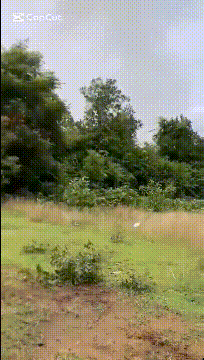 又炸了!泰国F-16越炸越凶<strong></p>
<p>币安推广码</strong>,中国远火开打,最终还是柬埔寨失算了