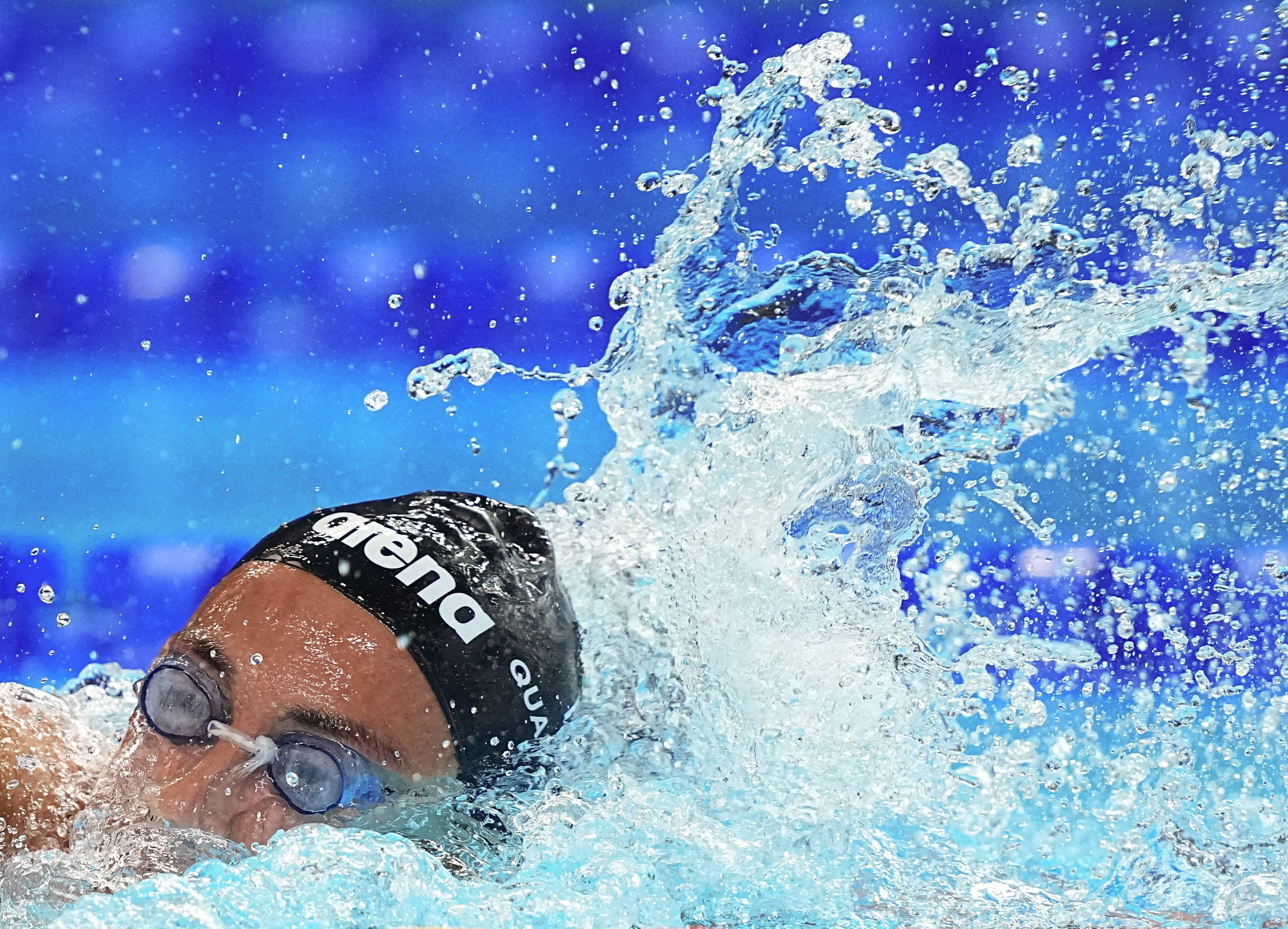 (游泳世锦赛)游泳——女子1500米自由泳决赛赛况