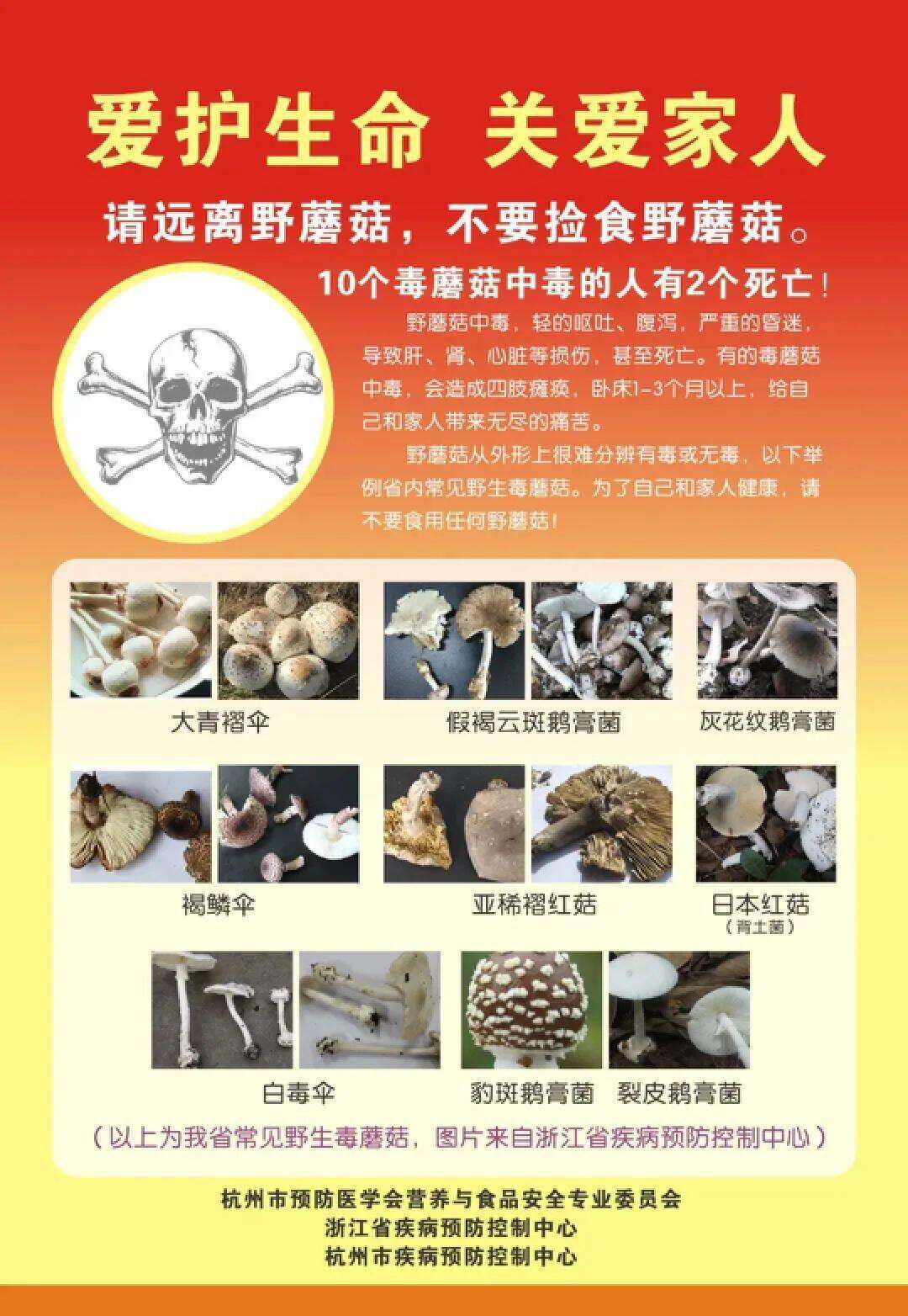 云南姑娘今年在杭州采了200斤鸡枞菌<strong></p>
<p>抹茶交易所</strong>！专家提醒→