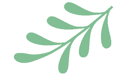 保定交警提醒：未满16周岁不得驾驶电动自行车<strong></p>
<p>抹茶交易所</strong>！