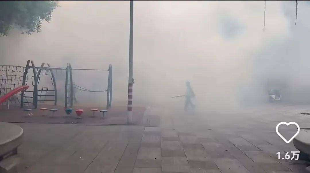 全民灭蚊总动员<strong></p>
<p>抹茶交易所</strong>,大广东给我们上了一课