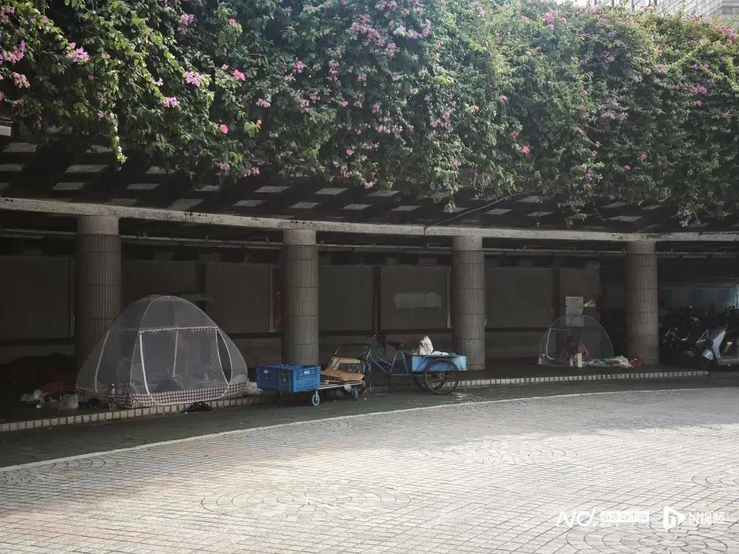 全民灭蚊总动员<strong></p>
<p>抹茶交易所</strong>,大广东给我们上了一课