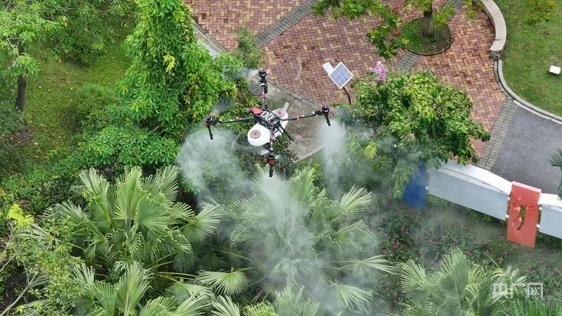 全民灭蚊总动员<strong></p>
<p>抹茶交易所</strong>,大广东给我们上了一课