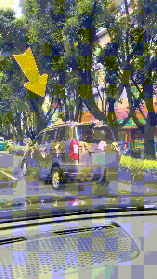 男子驾驶“鸡枞战车”满街跑，交警紧急叫停！