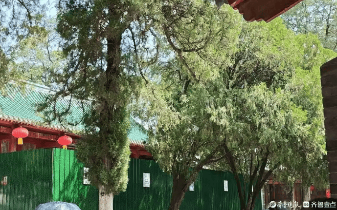 风暴下的少林寺迎新变化:收费扫码项目消失 网传数十个和尚离职