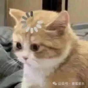 离婚三年又被拍到亲密逛超市<strong></p>
<p>交易所app下载</strong>,他俩这是纯带娃还是真复合了?