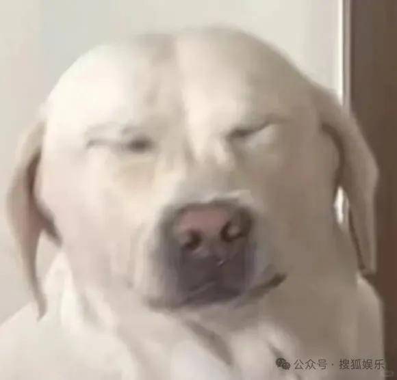 离婚三年又被拍到亲密逛超市<strong></p>
<p>交易所app下载</strong>,他俩这是纯带娃还是真复合了?