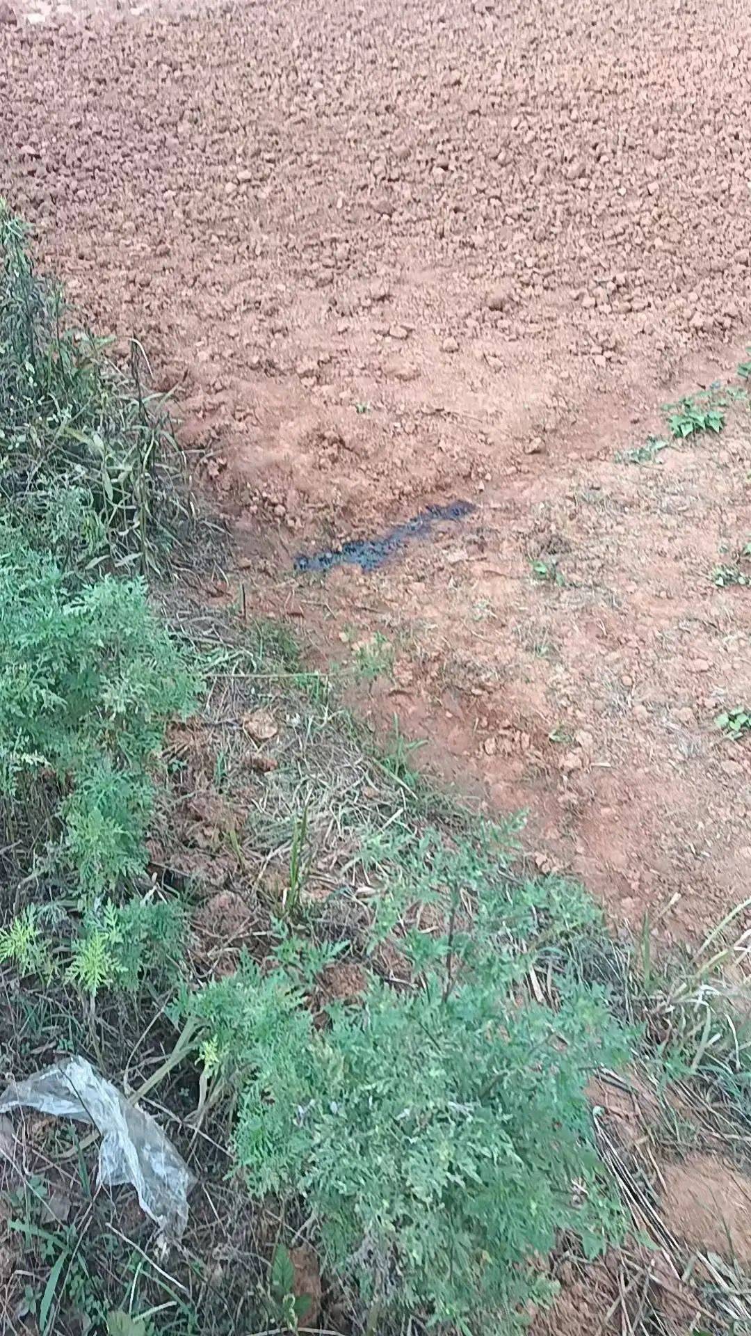 工人被误当猎物枪击身亡<strong></p>
<p>抹茶交易所app官网</strong>,警方通报:屈某某、罗某某被刑拘