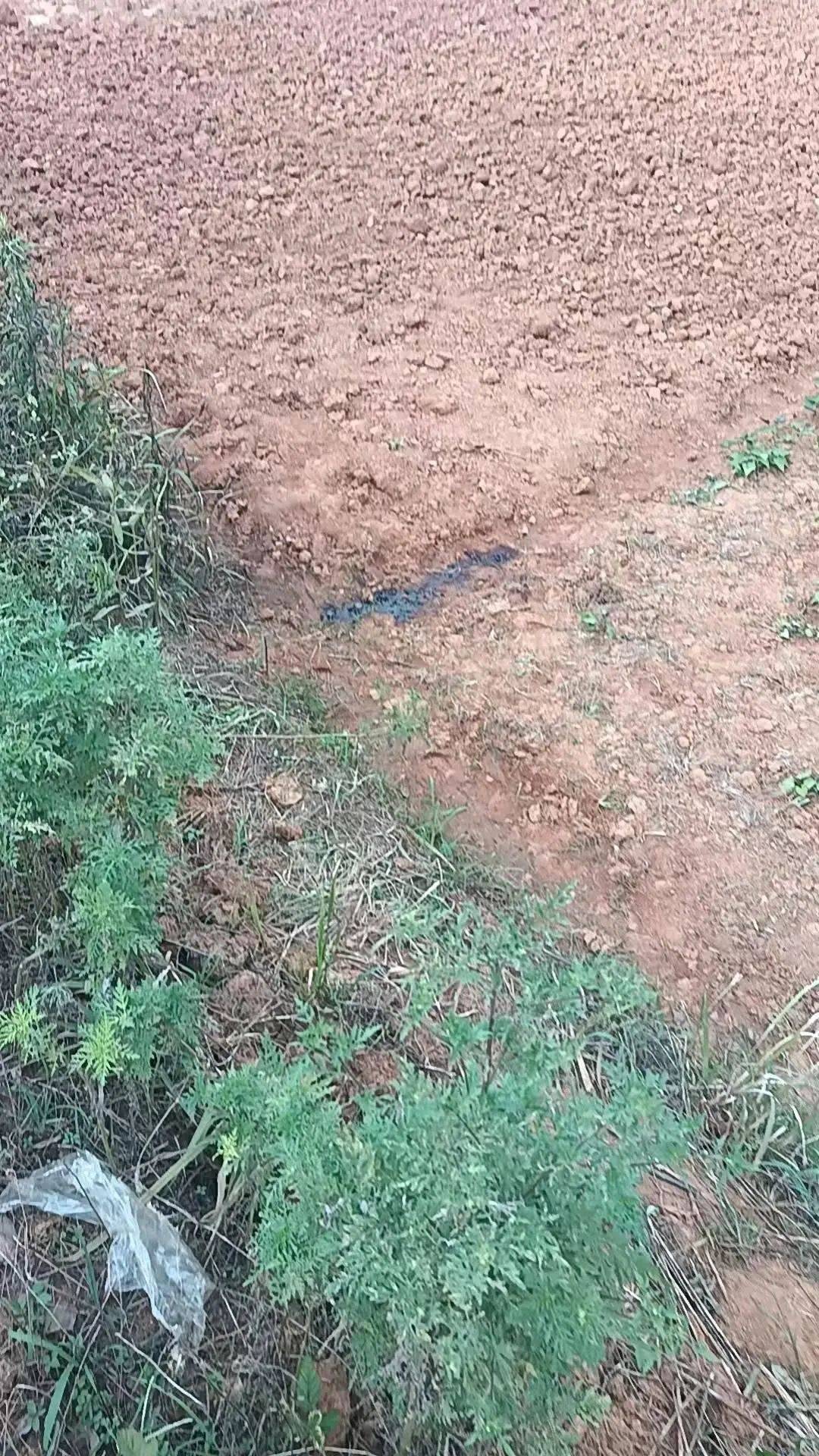 54岁农民工在工地附近如厕被气枪击杀<strong></p>
<p>抹茶交易所app官网</strong>，肇事者自首，用工单位愿补偿25万，家属发声