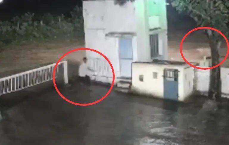 印度一男子后院与狮子相逢<strong></p>
<p>抹茶交易所网址</strong>,双方都被吓懵,狮子扭身先逃