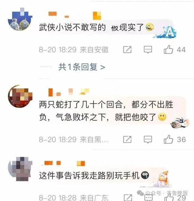 安徽宣城一男子走路玩手机<strong></p>
<p>抹茶交易所钱包注册</strong>,一脚踩中打架的竹叶青和五步蛇,被俩毒蛇咬3口!医院:暂无生命危险,正在治疗